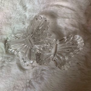Butterfly Glass Case